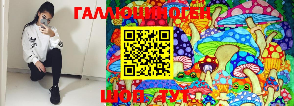Галлюциногенные грибы MAGIC MUSHROOMS  Вход с VPN  Димитровград 
