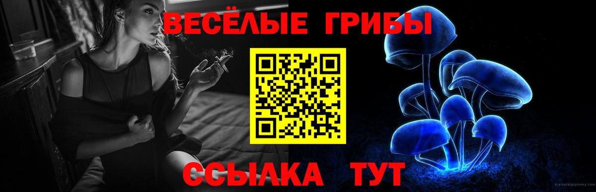 Галлюциногенные грибы прущие грибы Димитровград